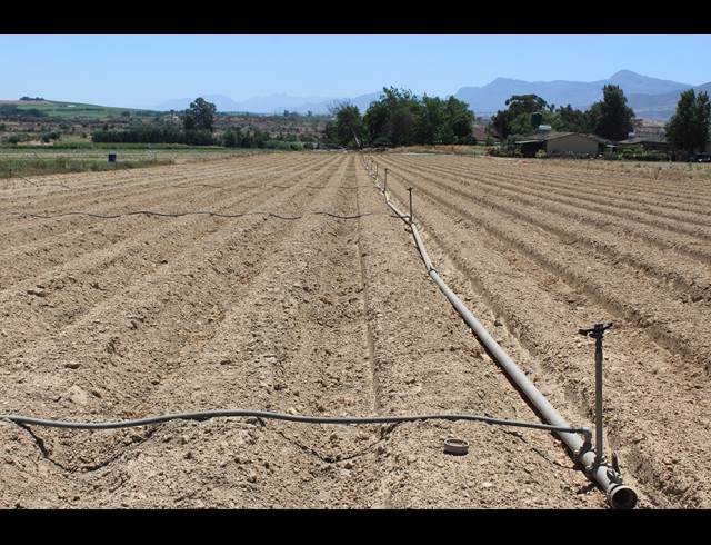 16.70HA FARM FOR SALE IN PAARL RURAL